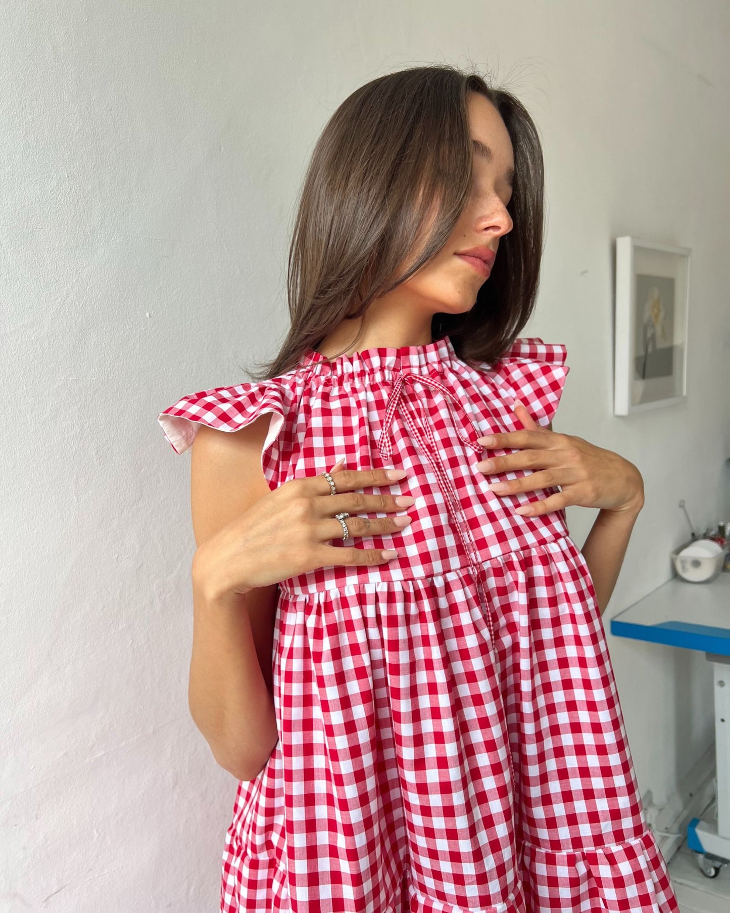 The Savannah Dress in Red Gingham